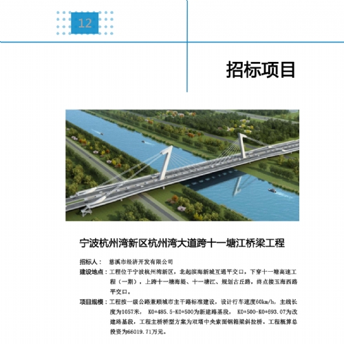 12招標(biāo)項(xiàng)目